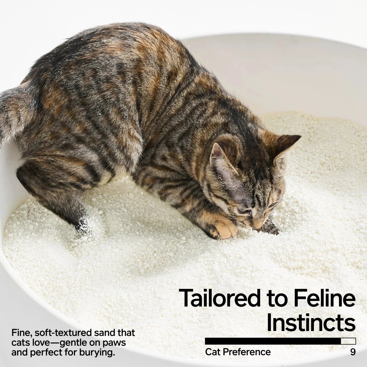 Pidan Cassava Cat Litter, 2.4 kg per bag by Pidan