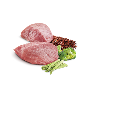 Farmina N&D Quinoa Urinary Duck Cat Food