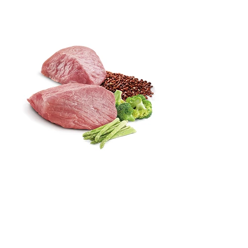 Farmina N&D Pumpkin Lamb & Blueberry Neutered Cat Food by Farmina