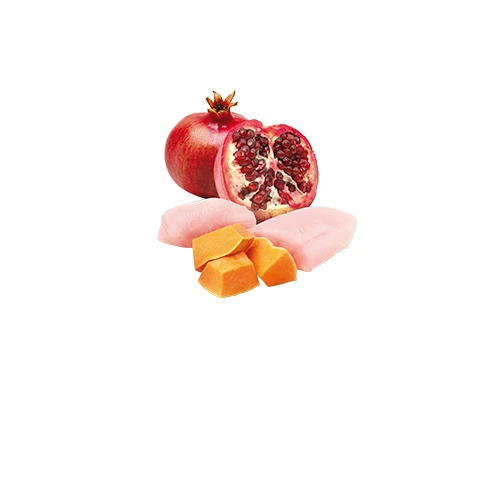 Farmina N&D Pumpkin Chicken Cat Wet Food by Farmina