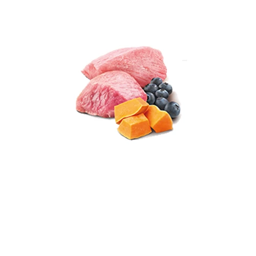 Farmina N&D Pumpkin Duck & Cantaloupe Cat Food by Farmina