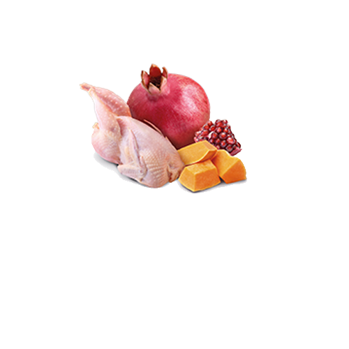 Farmina N&D Quinoa - Nourriture humide pour chats - Peau et pelage Canard et noix de coco 2,8 oz