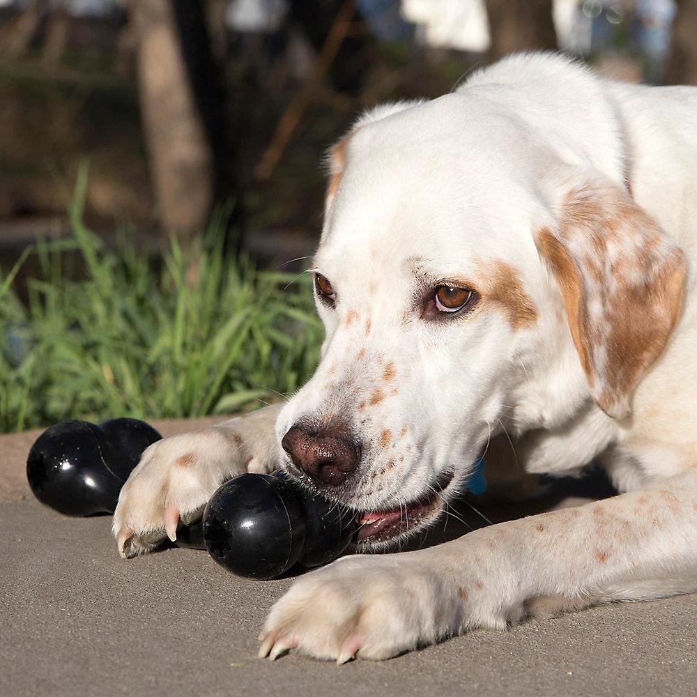 KONG - Goodie Bone™ Treat Dispensing Dog Toy