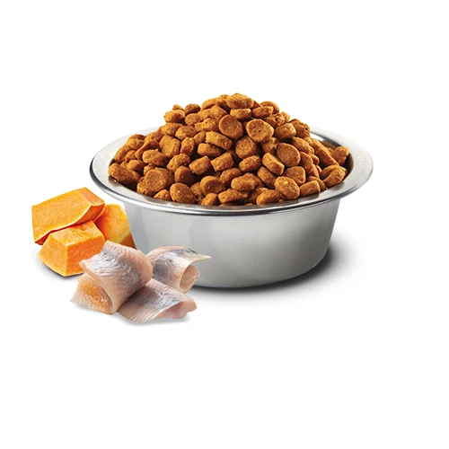 Farmina N&D Ocean Cod, Orange & Pumpkin Med/Maxi Dog Food by Farmina