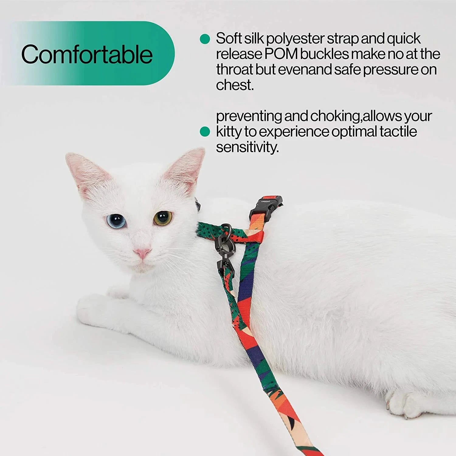 Pidan Cat Leash & Harness Set, Extra Large by Pidan