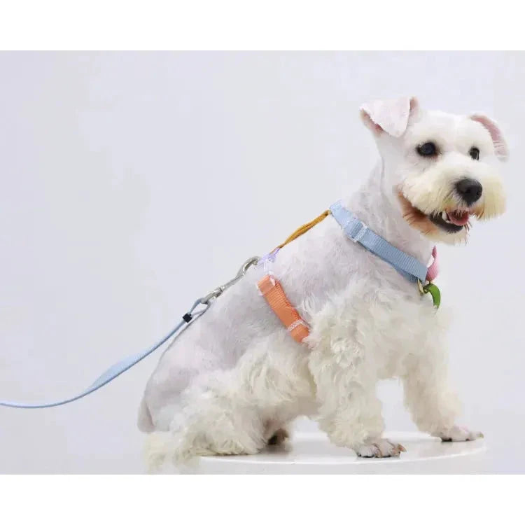 Tinklylife Fantastic Rainbow Easy Walk Harness by Tinklylife