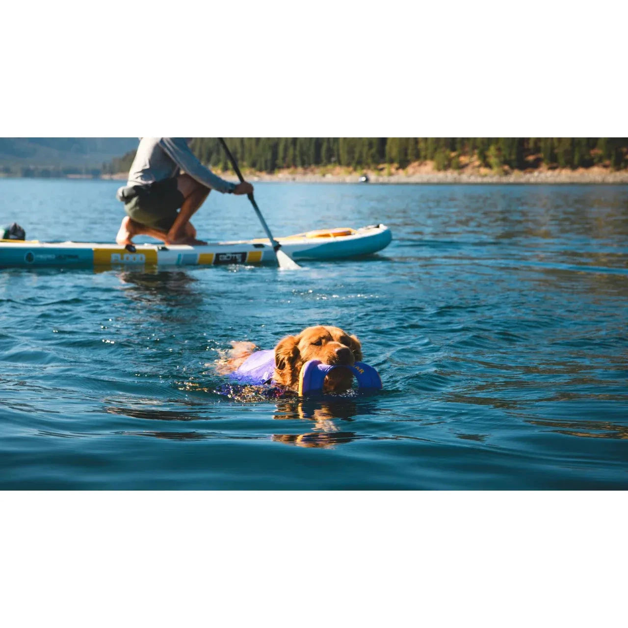 Ruffwear Hydro Plane™ Floating Throw Toy by Ruffwear