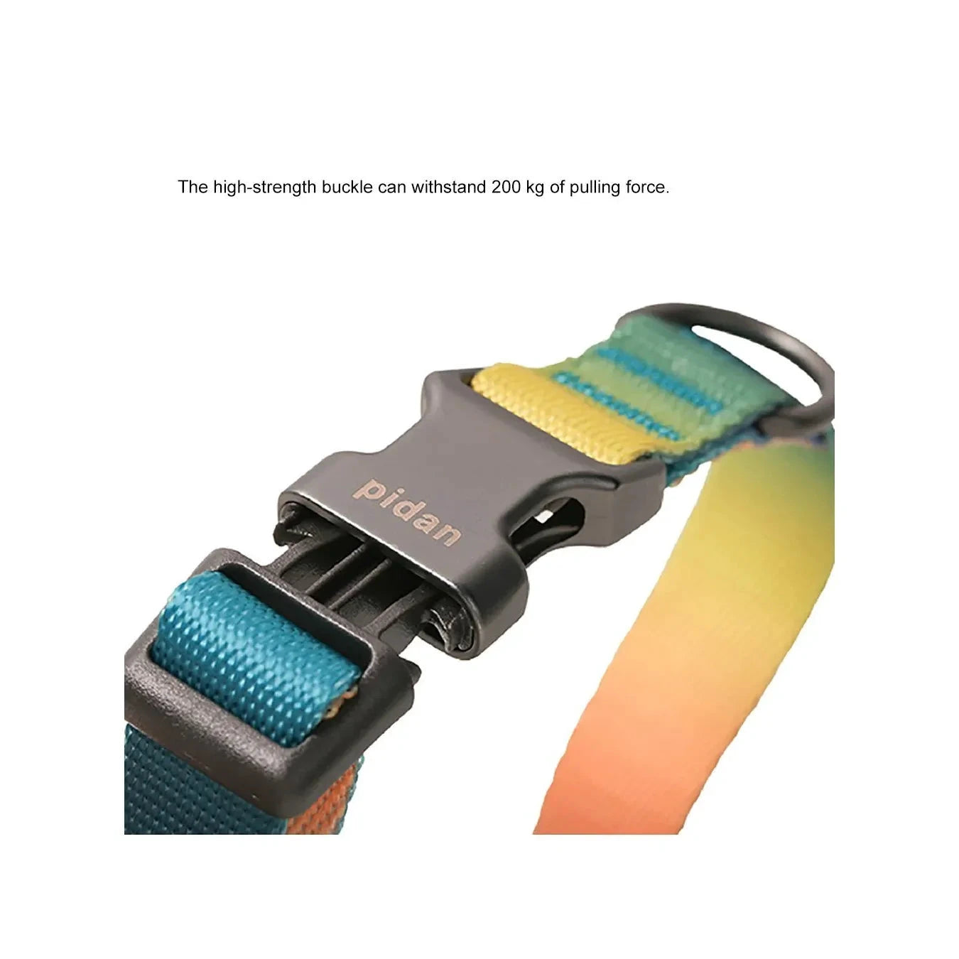 Pidan Dog Collar with Metal Buckle by Pidan