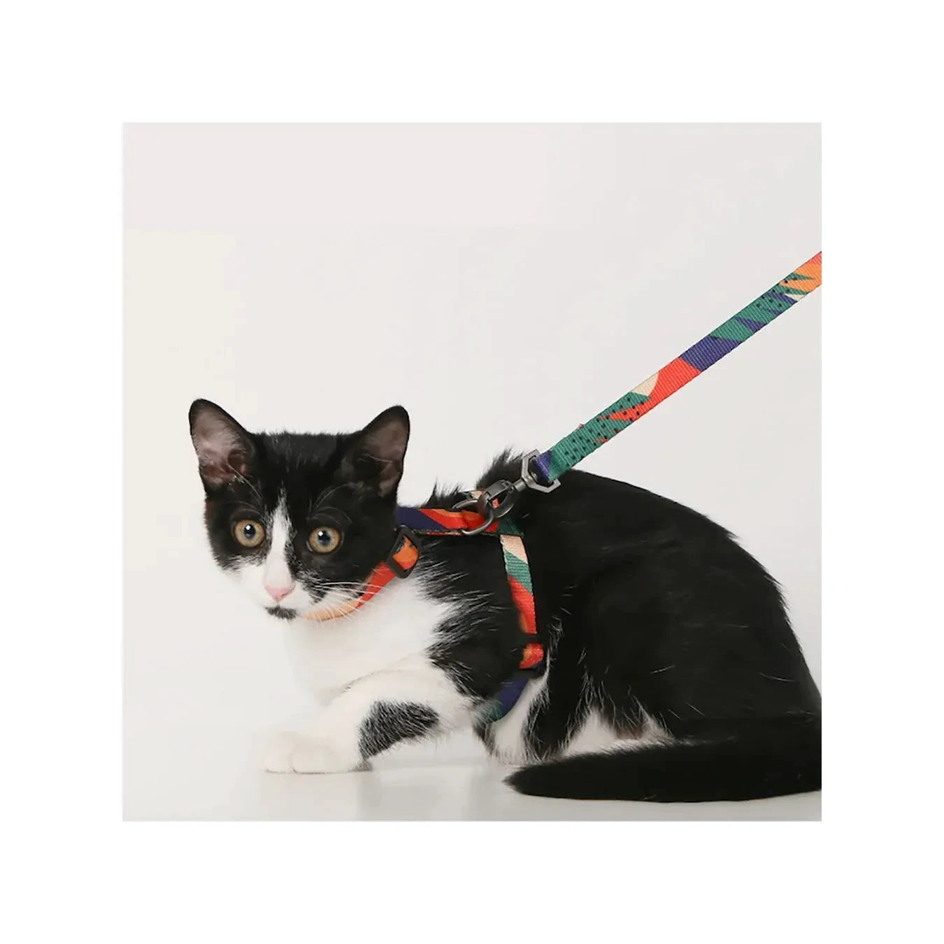 Pidan Cat Leash & Harness Set | Four Patterns by Pidan