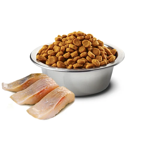 Farmina N&D Ocean Herring & Orange Neutered Cat Food by Farmina