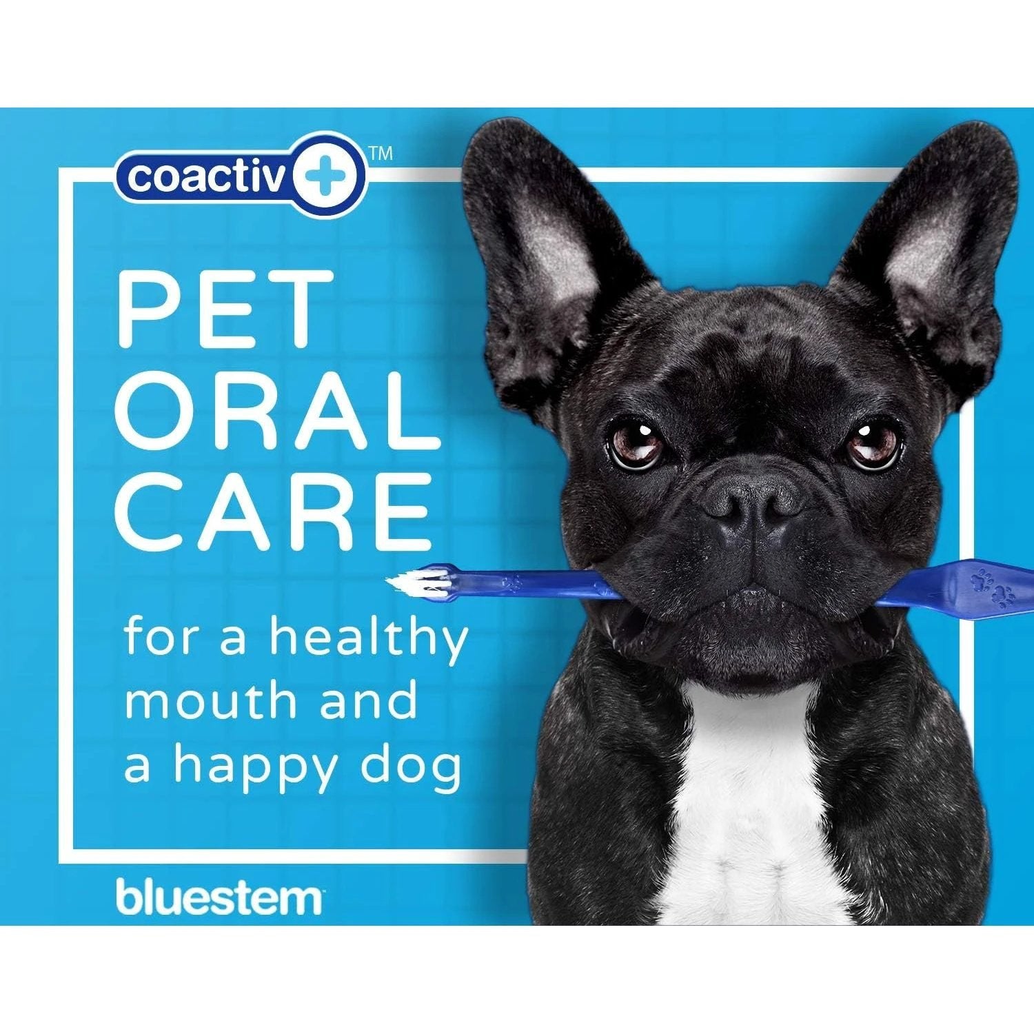 Bluestem Toothpaste for Dogs Vanilla Mint 70g by Bluestem