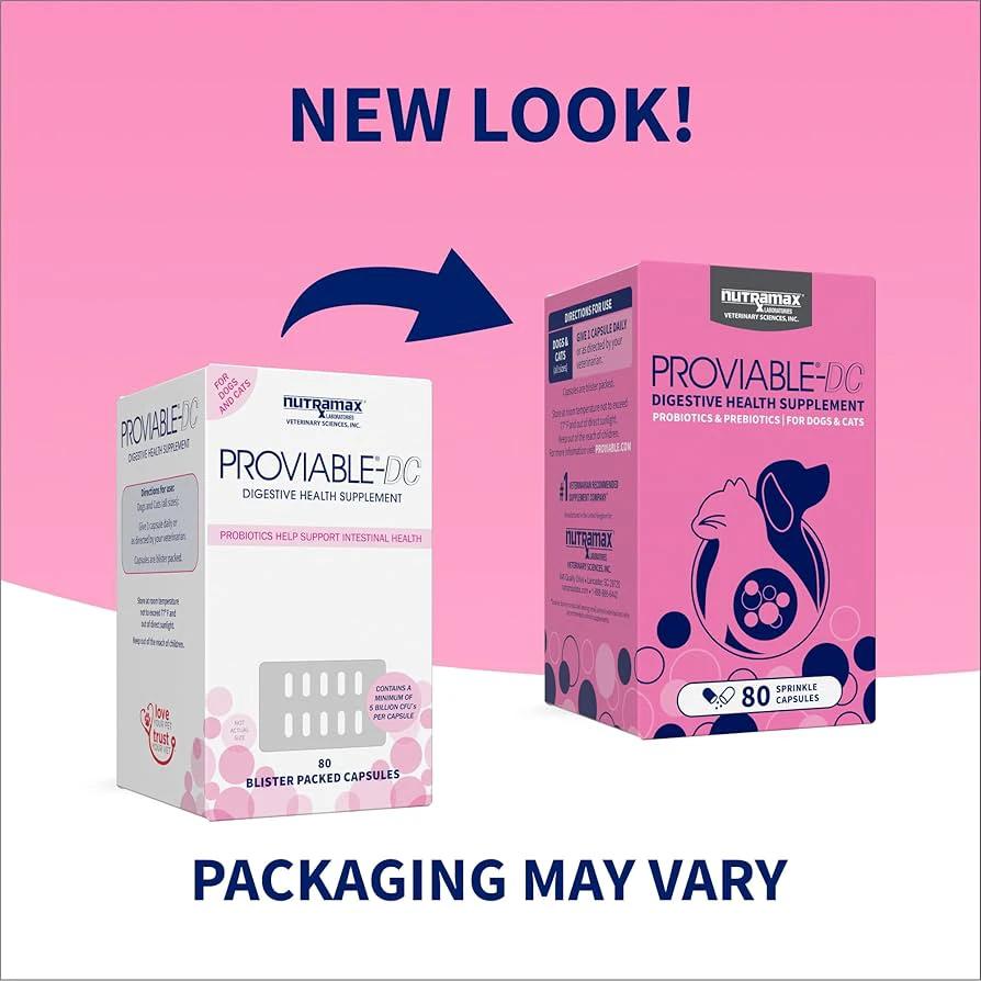 Nutramax Proviable-DC Probiotic Capsule by BEAM Pharmacy