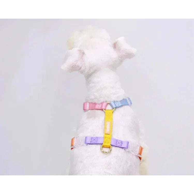 Tinklylife Fantastic Rainbow Easy Walk Harness by Tinklylife
