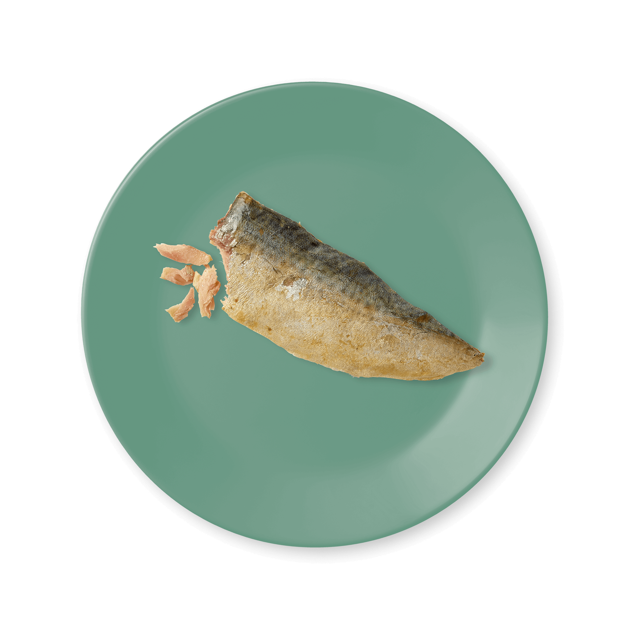 APPLAWS Natural Cat Treat – Mackerel Loin 30g