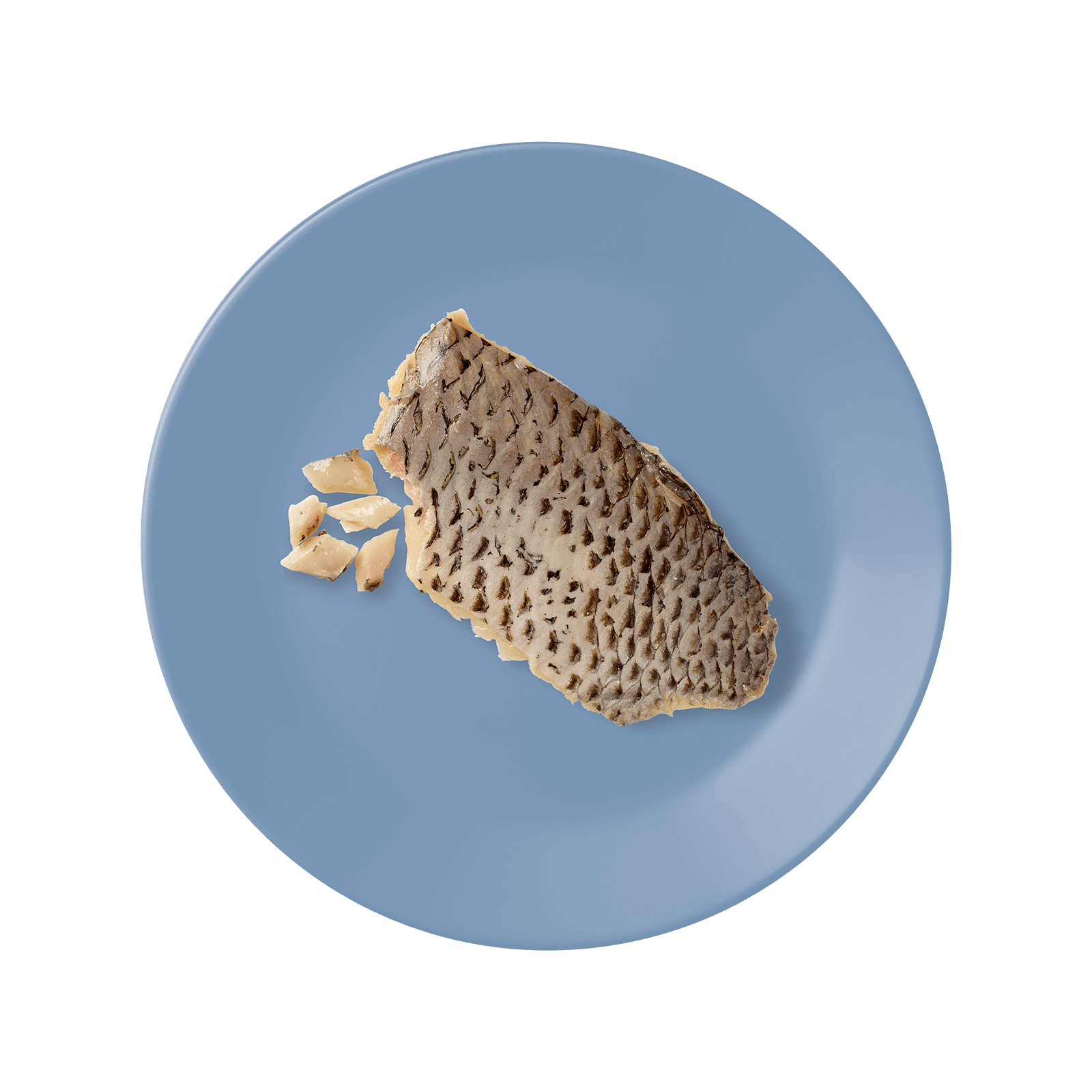 APPLAWS Natural Cat Treat – Tilapia Filet 30g