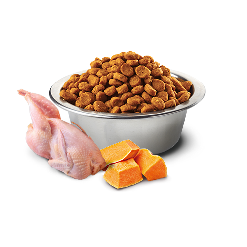 Farmina N&D Pumpkin Quail & Pomegranate Mini Dog Food 2kg