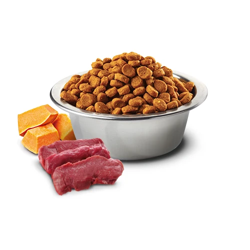 Farmina N&D Pumpkin Venison & Apple Mini Dog Food by Farmina