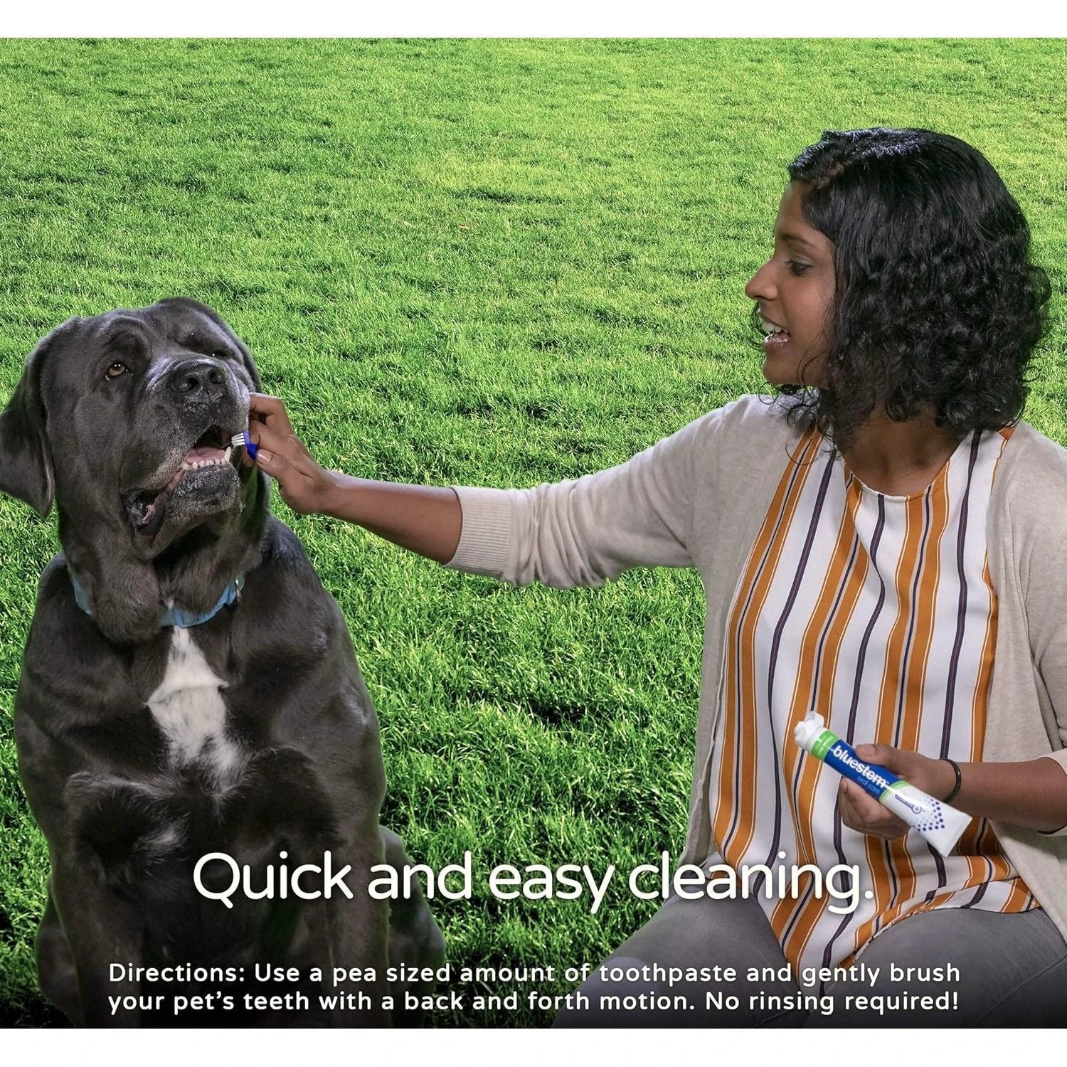 Bluestem Toothpaste for Dogs Vanilla Mint 70g by Bluestem