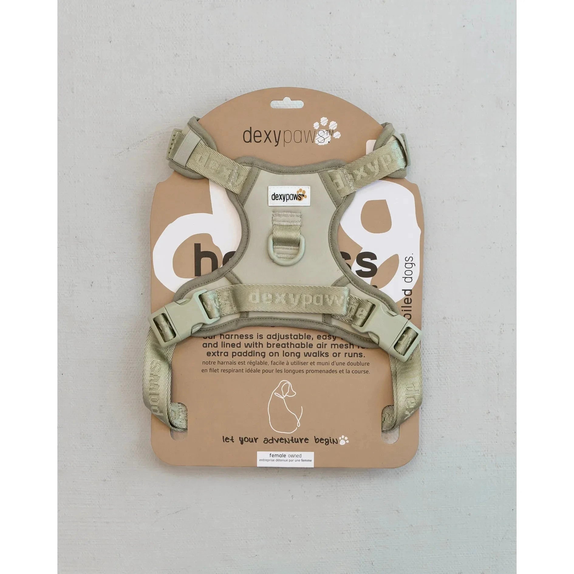 Dexypaws No-Pull Dog Harness, Sage Green Medium Dog by Dexypaws