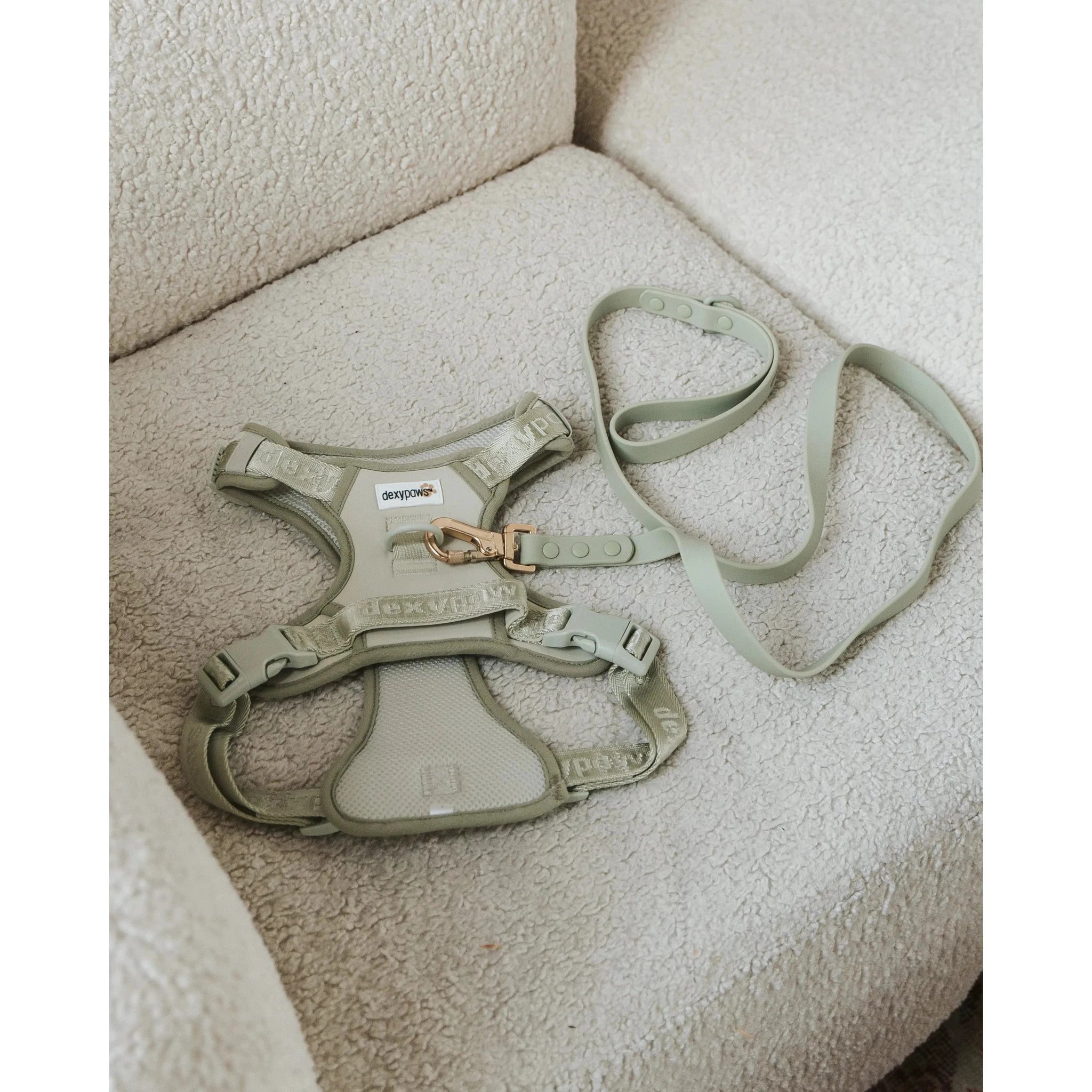 Dexypaws No-Pull Dog Harness, Sage Green Medium Dog by Dexypaws