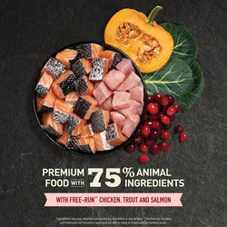 ACANA Highest Protein Indoor Cat Recipe Cat Dry Food by ACANA