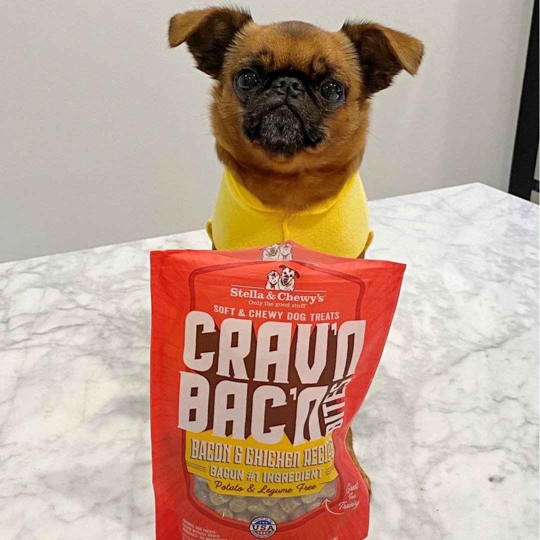 Stella & Chewy's - Cravn Bacn Bites Bacon & Chicken Recipe Dog Treats by Stella & Chewy's