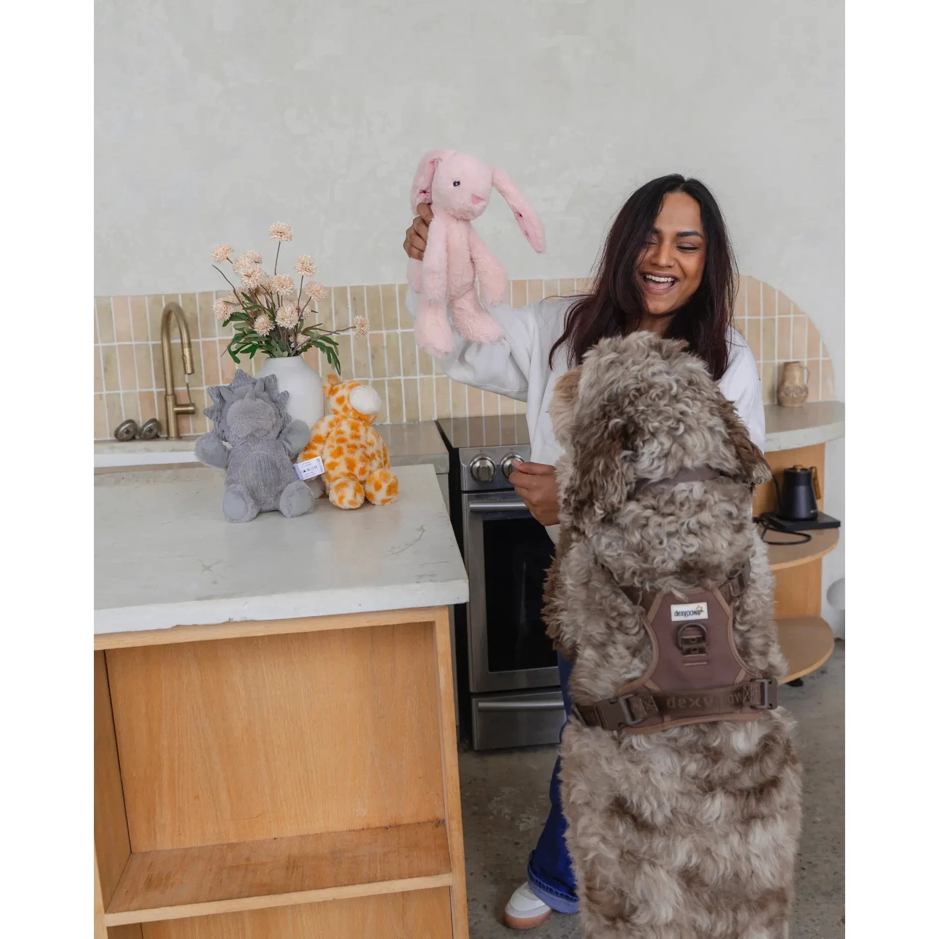 Dexypaws Plush Dog Toy - Blush Bunny by Dexypaws