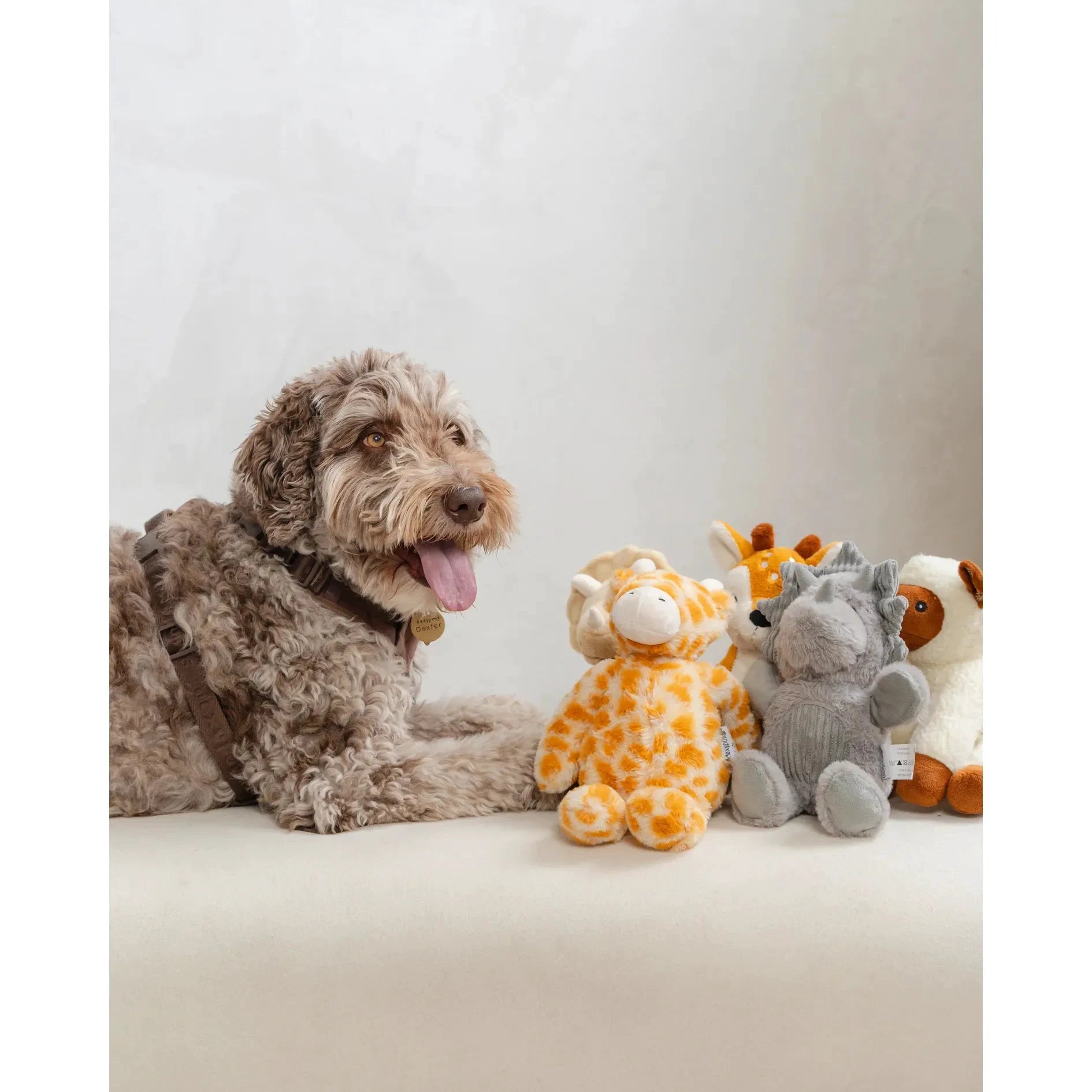 Dexypaws Plush Dog Toy - Giraffe by Dexypaws