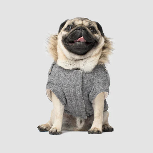 Canada Pooch Alaskan Army Parka Grey Mix