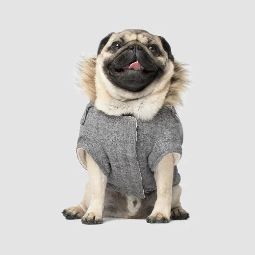 Canada Pooch Alaskan Army Parka Grey Mix by Canada Pooch