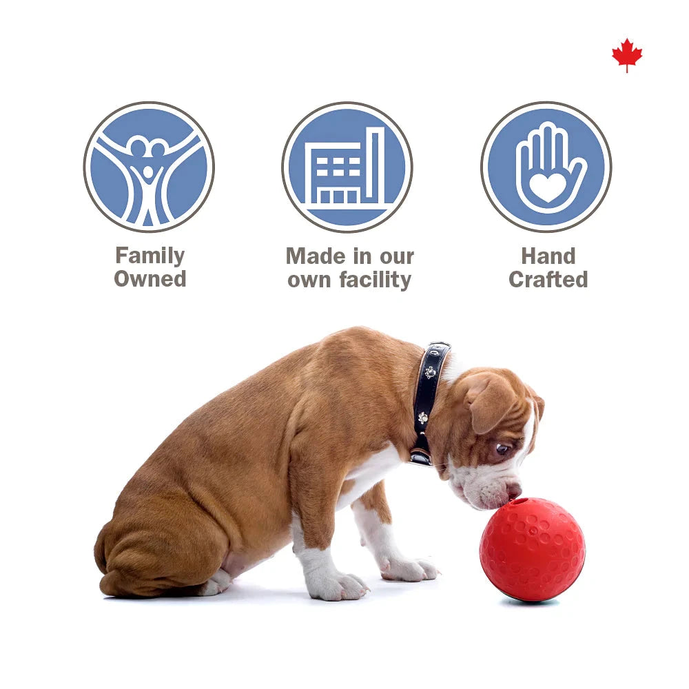 Crumps' Naturals Semi Moist Beef Mini Trainers by Crumps' Naturals