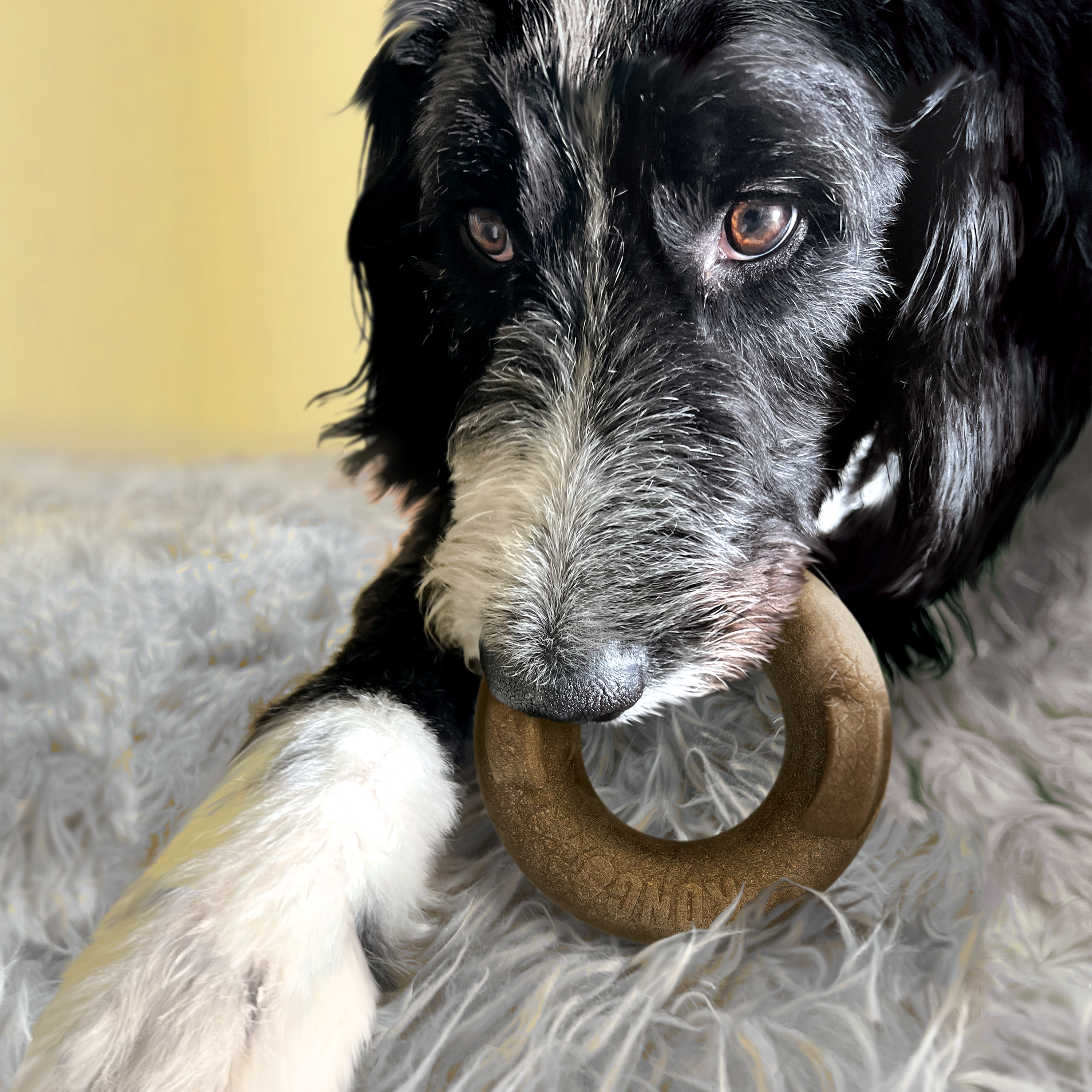 Bague KONG Bamboo Rockerz XS/S