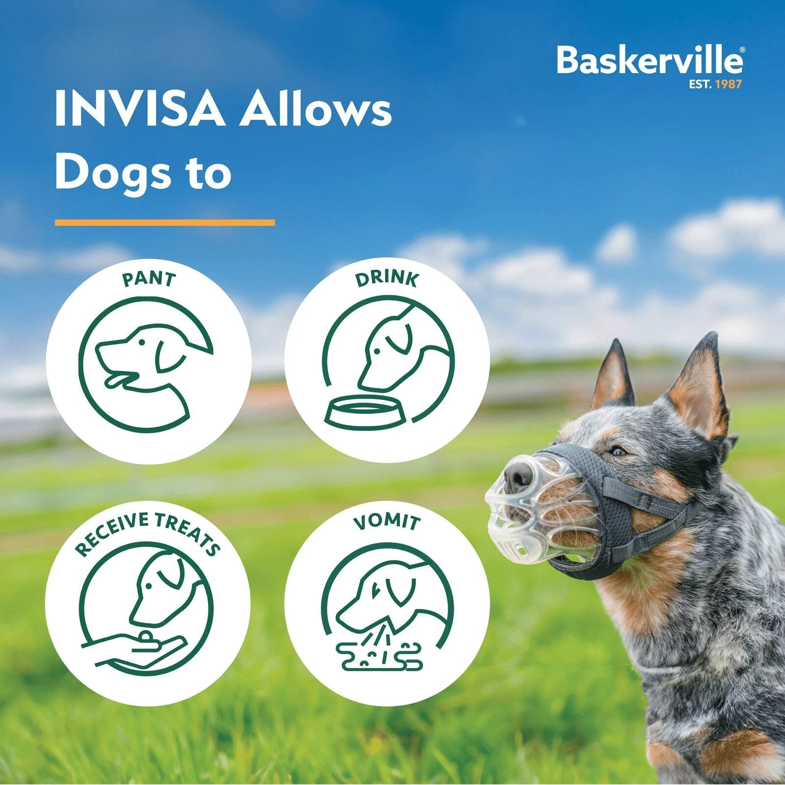 Company of Animals® Baskerville INVISA Muzzle by Company of Animals
