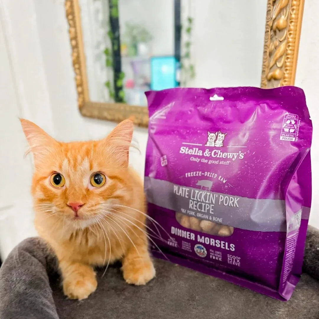 Stella & Chewy's Plate Lickin' Pork Recipe Freeze-Dried Raw Dinner Morsels by Stella & Chewy's