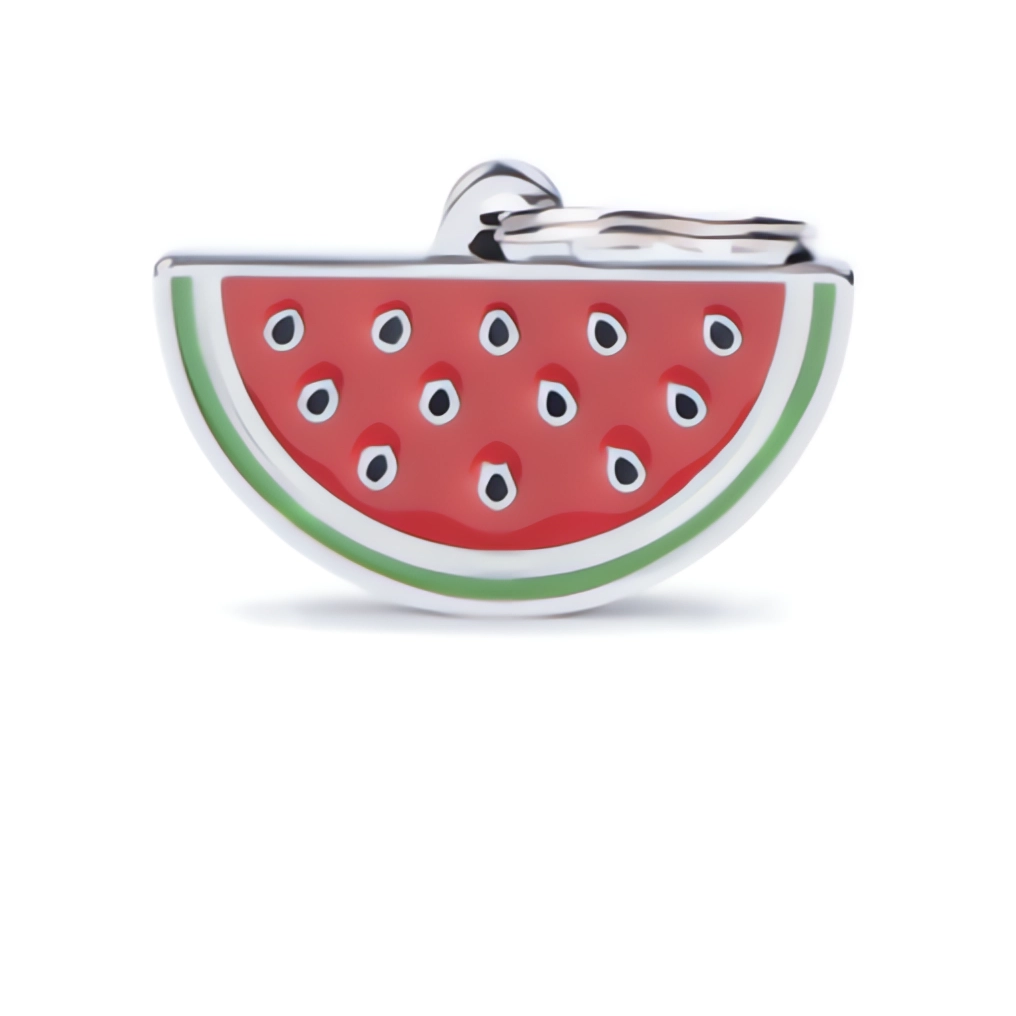 MyFamily New Foodie Pet Tag