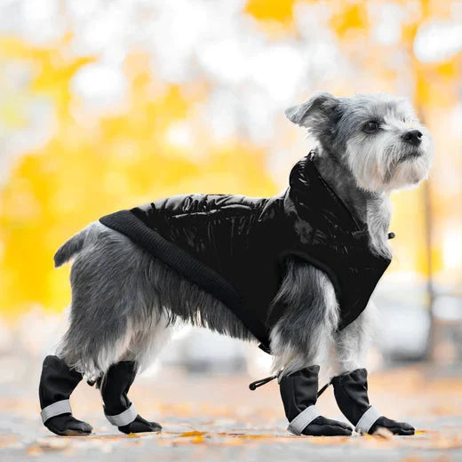 Canada Pooch Soft Shield Boots by Canada Pooch