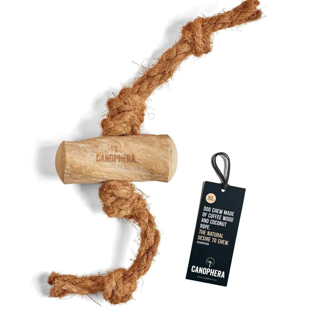 Canophera Natural Desire To Chew Dog Chew Stick Made of Coffee Tree Wood & Natural Coconut Husk by Canophera