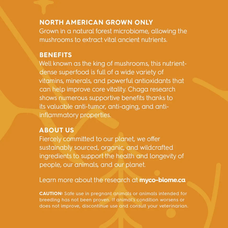 Adored Beast - Chaga Mushrooms | Liquid Extract by Adored Beast