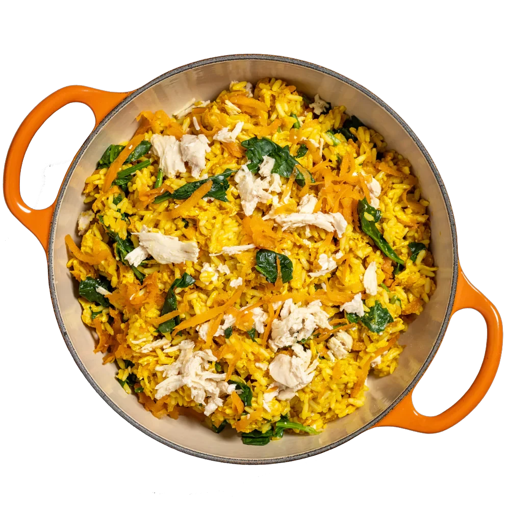 Tom&Sawyer Coconut Chicken Gently-cooked Frozen Meals for Dogs by Tom Sawyer