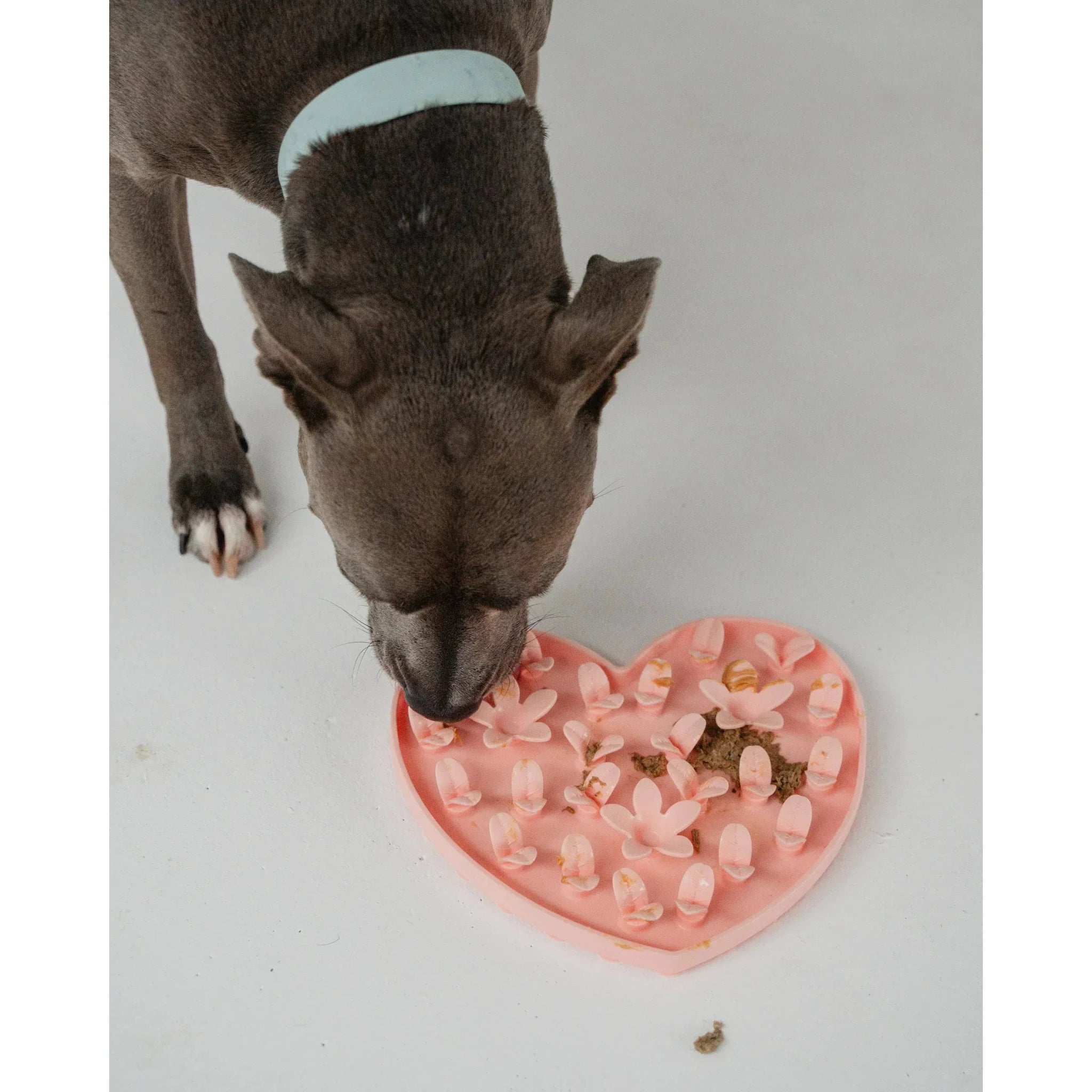 Dexypaws Sillicon Enrichment "Hide + Seek" Snuffle Mat by Dexypaws