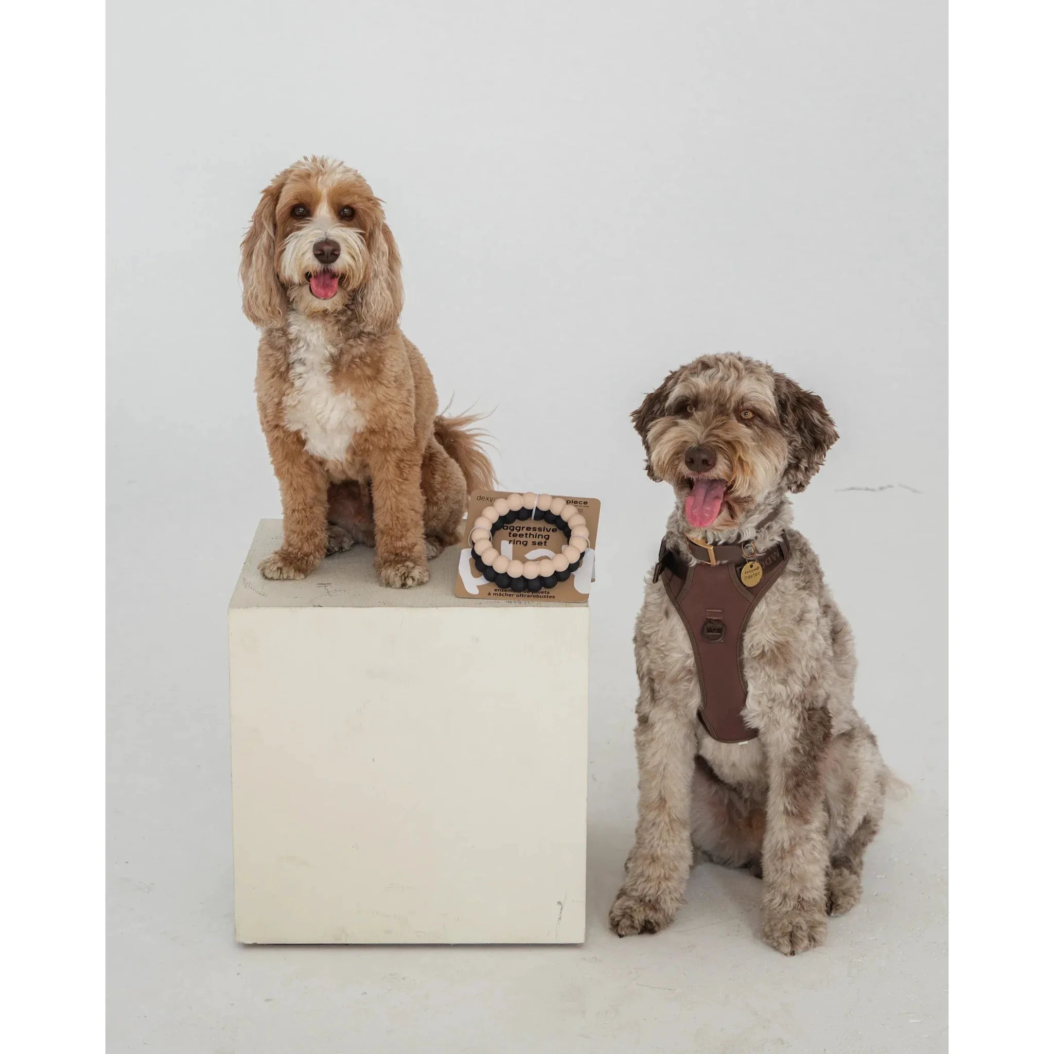 Dexypaws 2 Piece Aggressive Teething Ring Set by Dexypaws