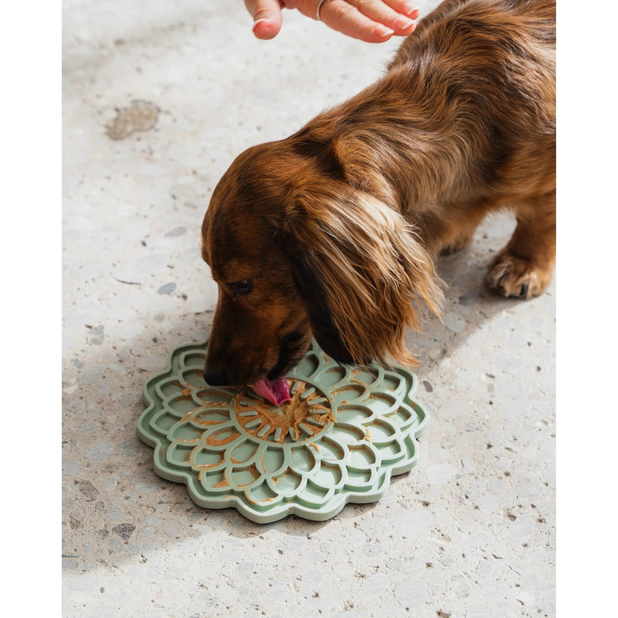 Dexypaws Enrichment Licking Mat for dogs & cats, Blooming Blossom by Dexypaws