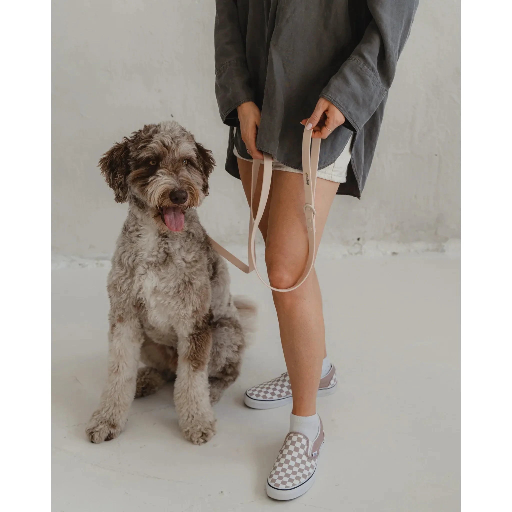 Dexypaws Waterproof Dog Leash by Dexypaws