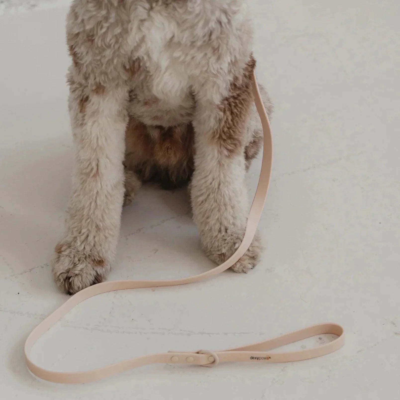 Dexypaws Waterproof Dog Leash by Dexypaws