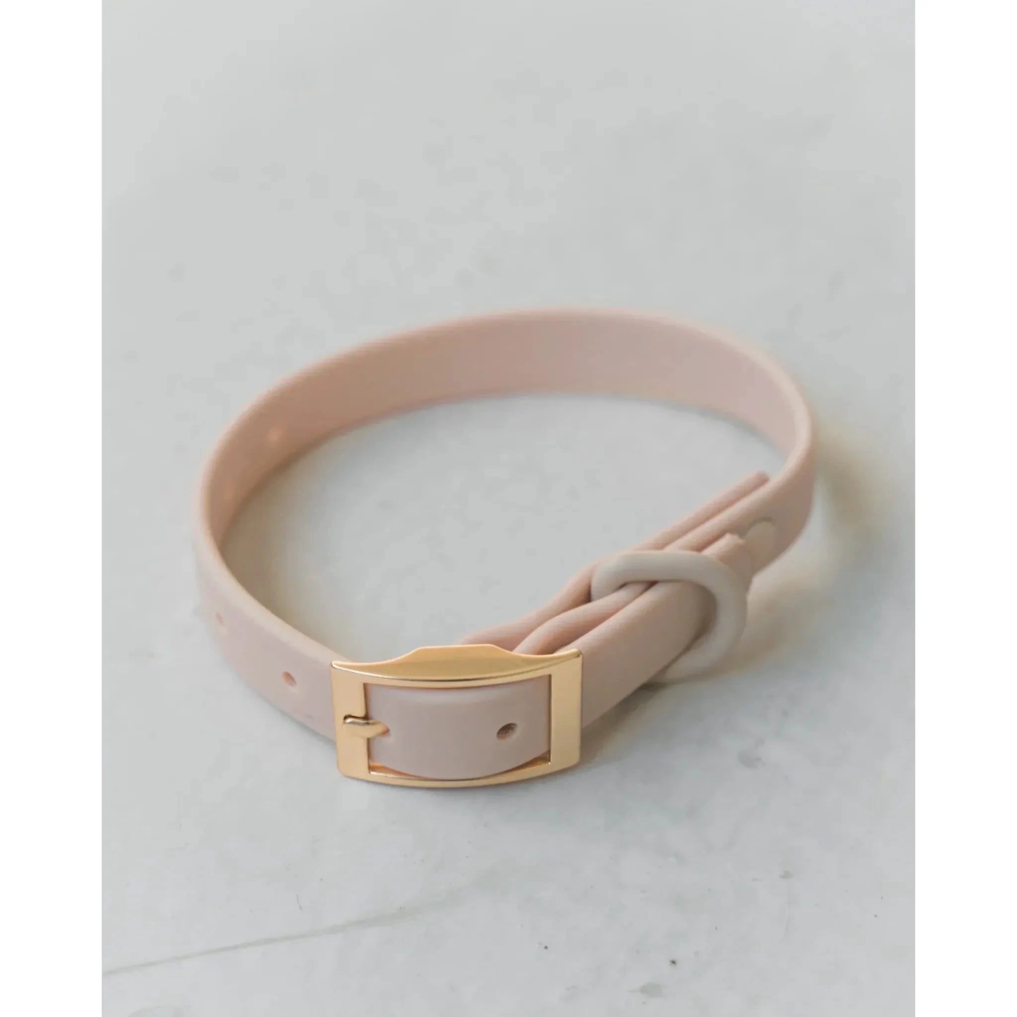 Dexypaws Waterproof Dog Collar by Dexypaws