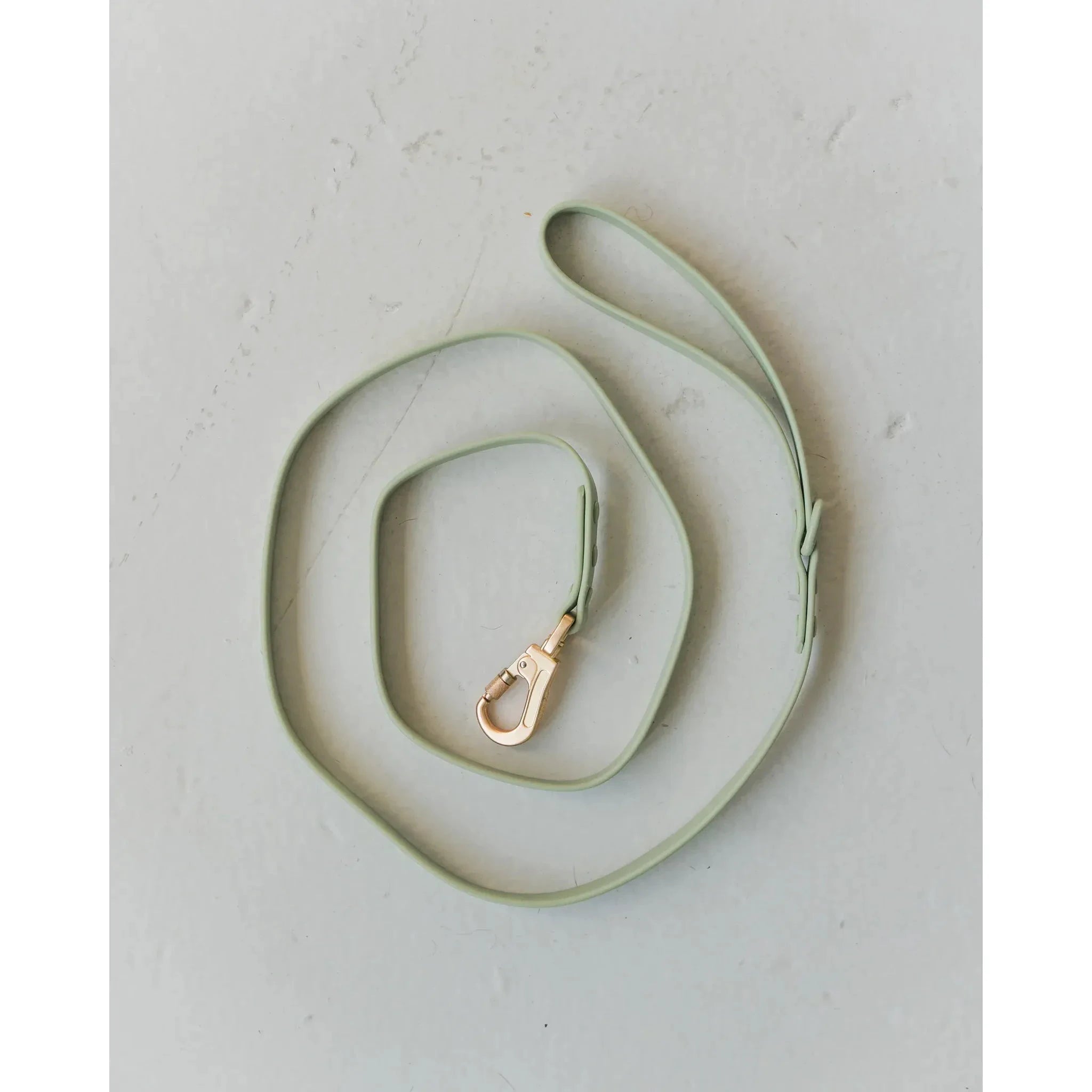Dexypaws Waterproof Dog Leash by Dexypaws