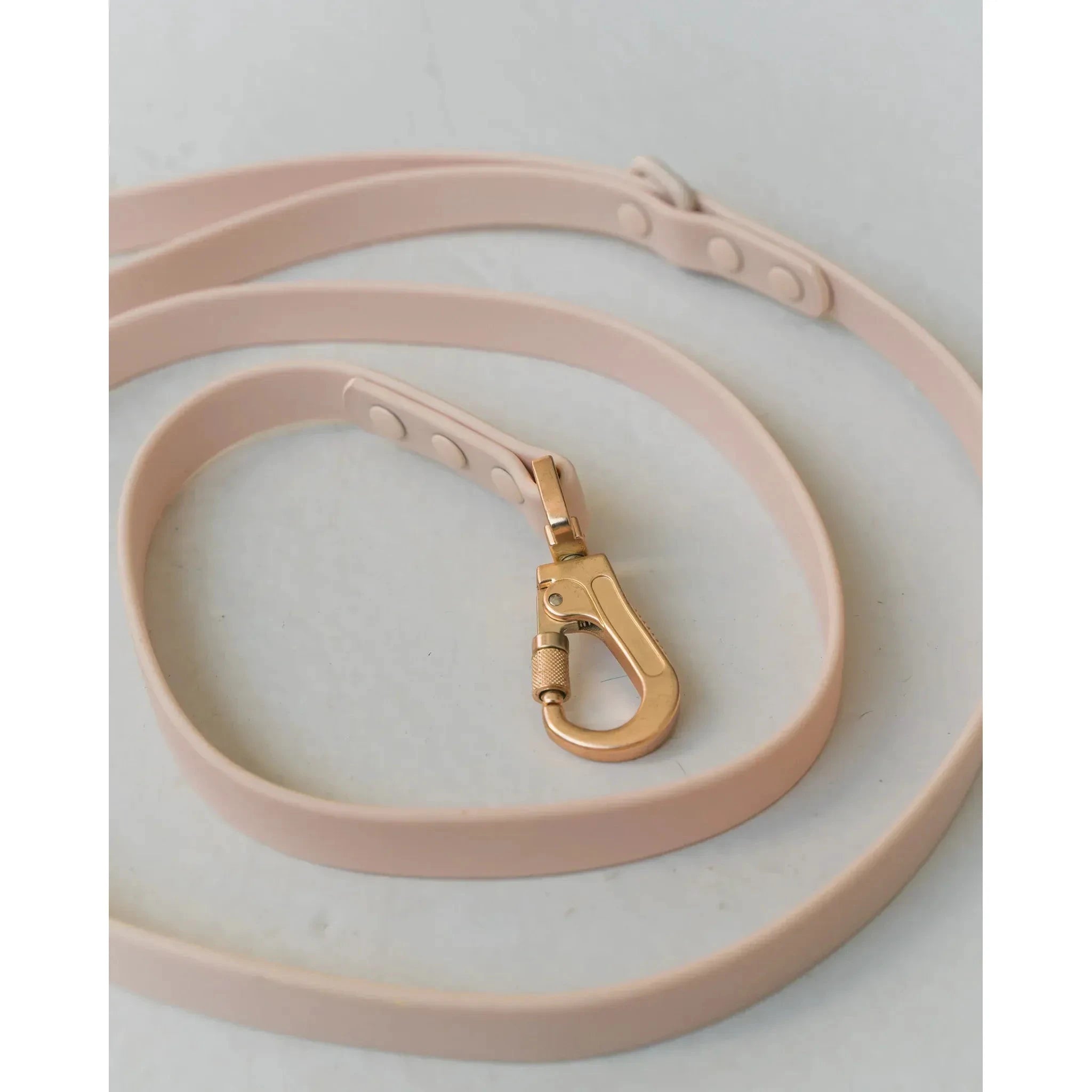 Dexypaws Waterproof Dog Leash by Dexypaws