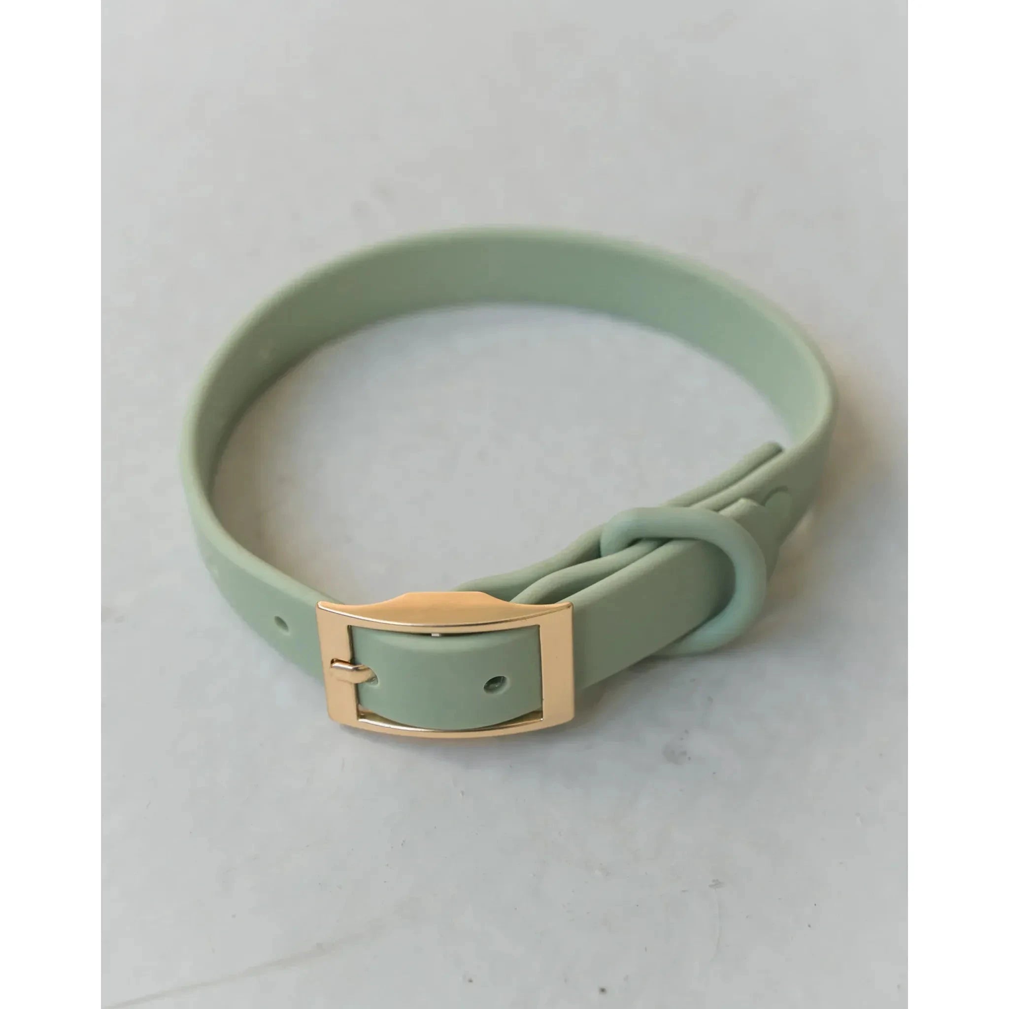 Dexypaws Waterproof Dog Collar by Dexypaws