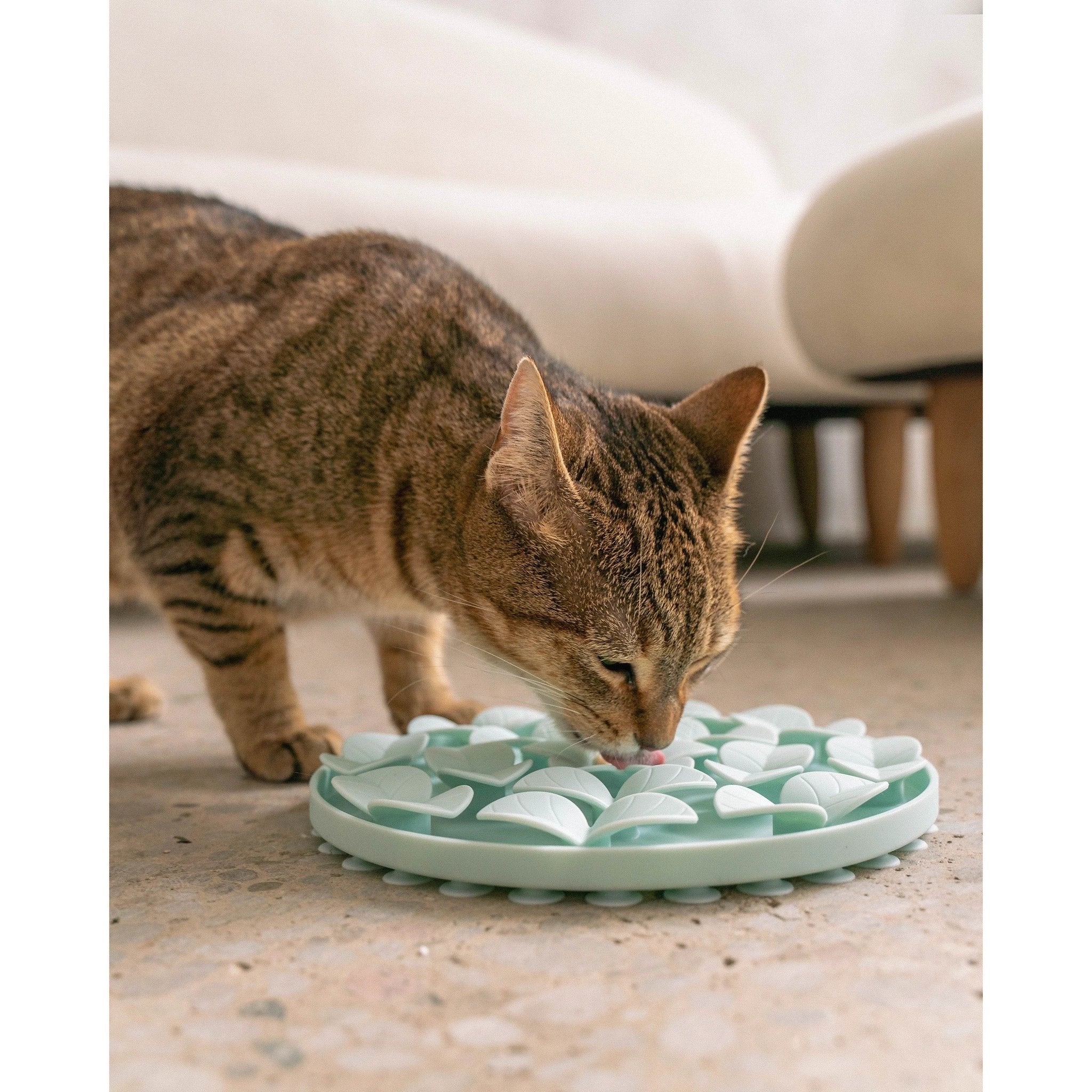 Dexypaws Sillicon Enrichment "Hide + Seek" Snuffle Mat by Dexypaws