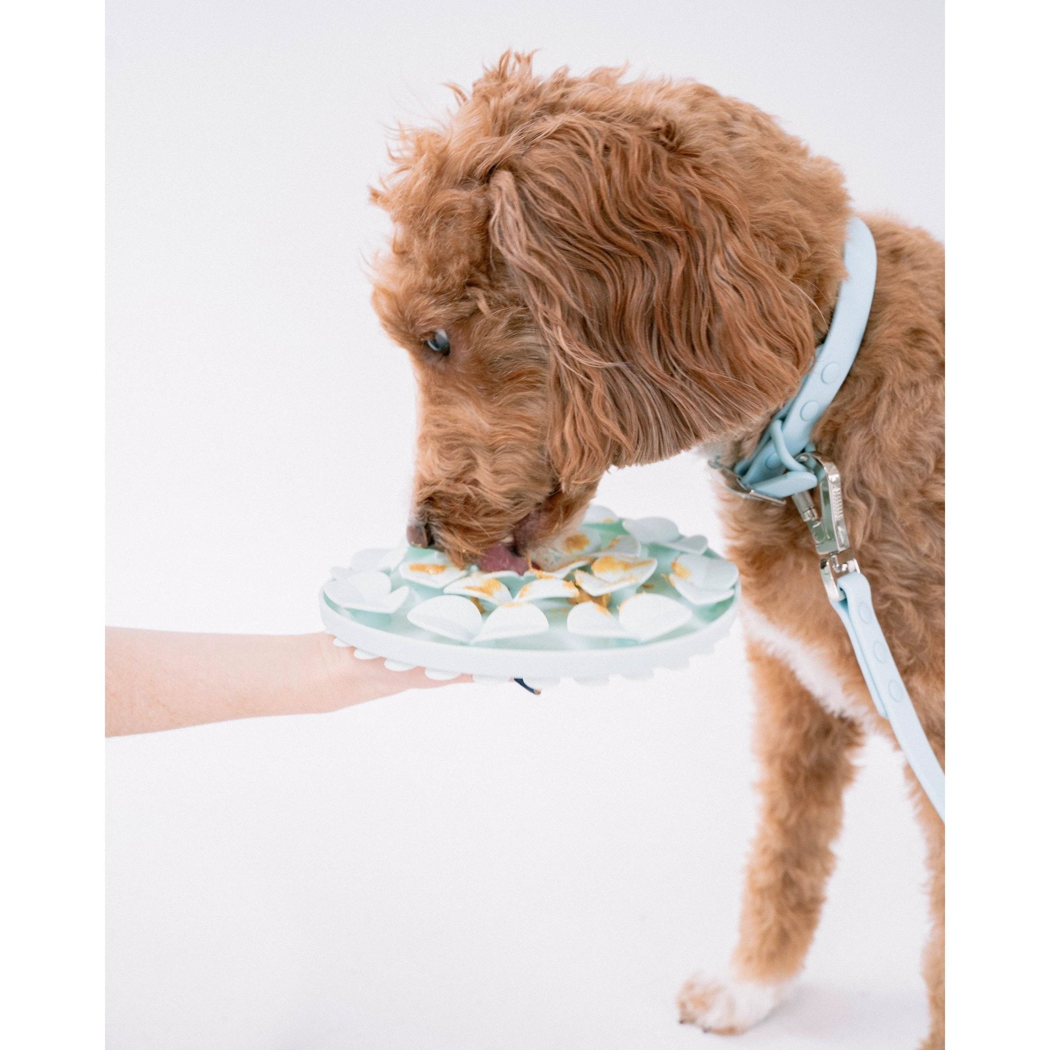 Dexypaws Sillicon Enrichment "Hide + Seek" Snuffle Mat by Dexypaws